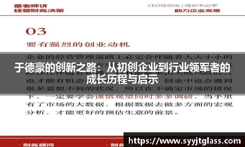 于德豪的创新之路：从初创企业到行业领军者的成长历程与启示